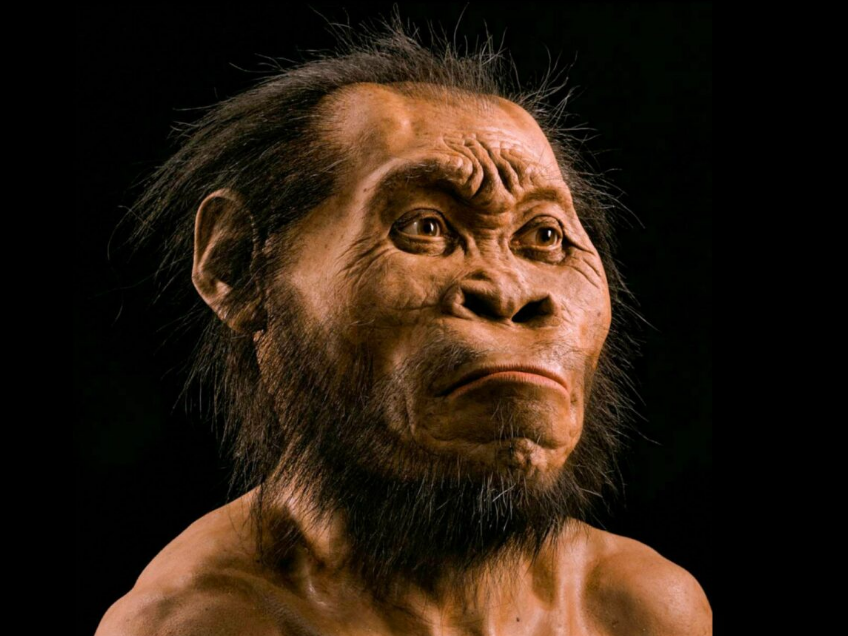 Homo naledi, вымерший родственник человека